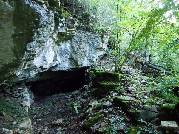 Cânion Rio Pazincica Antes Abismo Caverna Pazin Pazin Croácia Kanjon — Fotografia de Stock