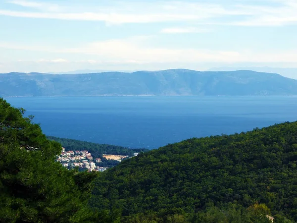Vista Della Foresta Istriana Località Turistica Costiera Rabac Isola Cres — Foto Stock