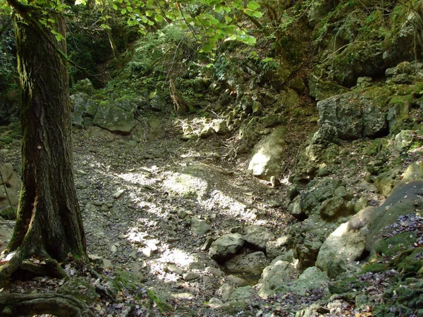 Cascade Butori Pendant Saison Sèche Sans Eau Sterna Istrie Croatie — Photo