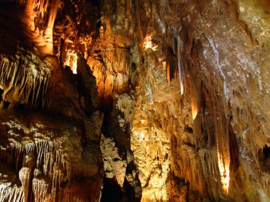 Grotta Baredine veya Baredine mağarası (Hohle Grotta Baredine), Nova Vas - Istria, Hırvatistan (Jama Baredine ili Spilja Baredine, Nova Vas - Istra, Hrvatska) oder Hoehle auf dem Brachfeld