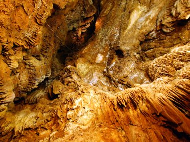 Grotta Baredine veya Baredine mağarası (Hohle Grotta Baredine), Nova Vas - Istria, Hırvatistan (Jama Baredine ili Spilja Baredine, Nova Vas - Istra, Hrvatska) oder Hoehle auf dem Brachfeld