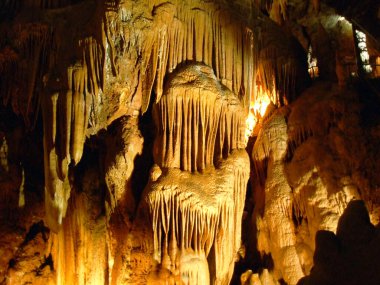 Grotta Baredine veya Baredine mağarası (Hohle Grotta Baredine), Nova Vas - Istria, Hırvatistan (Jama Baredine ili Spilja Baredine, Nova Vas - Istra, Hrvatska) oder Hoehle auf dem Brachfeld
