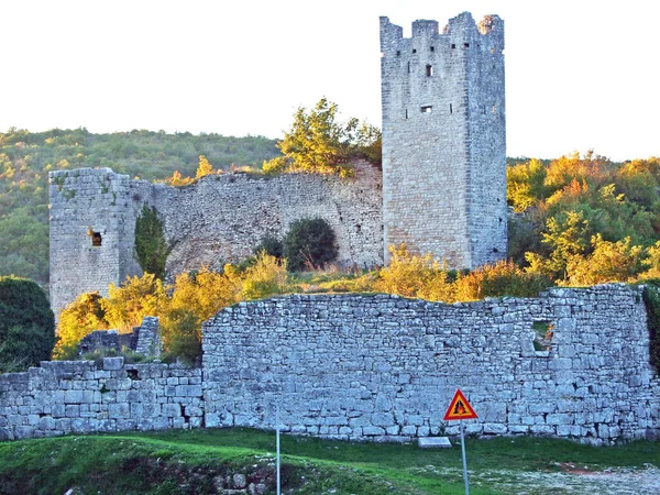 Ruines Dvigrad Château Dvigrad Kanfanar Istrie Croatie Rusevine Srednjovjekovnog Grada — Photo