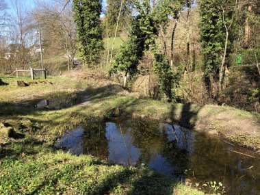 Erlenbacher-Tobel vadisindeki Erlenbach deresi - Zürih Kantonu veya Zuerich, İsviçre (Schweiz)