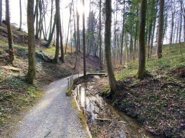 Bahar başında Erlenbach deresi boyunca ve Erlenbacher-Tobel vadisinde yürüyüş, spor ve dinlenme yolları - İsviçre Zürih veya Zuerich Kantonu, İsviçre (Schweiz)