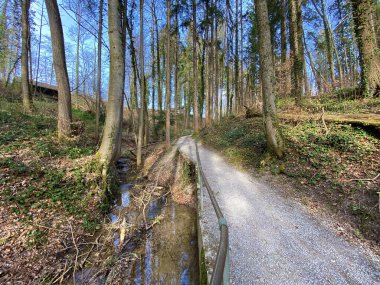 Bahar başında Erlenbach deresi boyunca ve Erlenbacher-Tobel vadisinde yürüyüş, spor ve dinlenme yolları - İsviçre Zürih veya Zuerich Kantonu, İsviçre (Schweiz)