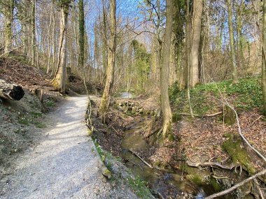 Bahar başında Erlenbach deresi boyunca ve Erlenbacher-Tobel vadisinde yürüyüş, spor ve dinlenme yolları - İsviçre Zürih veya Zuerich Kantonu, İsviçre (Schweiz)