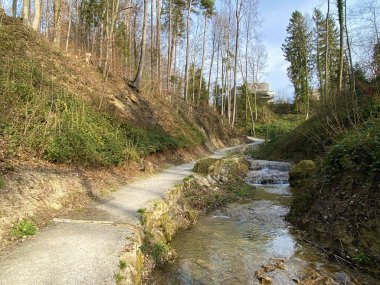 Bahar başında Erlenbach deresi boyunca ve Erlenbacher-Tobel vadisinde yürüyüş, spor ve dinlenme yolları - İsviçre Zürih veya Zuerich Kantonu, İsviçre (Schweiz)