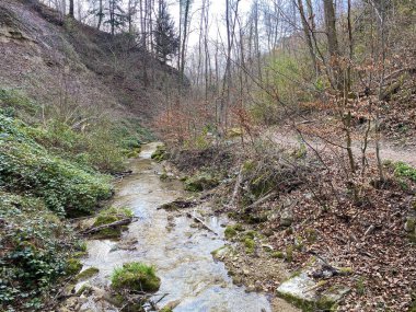 Bahar başında Erlenbach deresi boyunca ve Erlenbacher-Tobel vadisinde yürüyüş, spor ve dinlenme yolları - İsviçre Zürih veya Zuerich Kantonu, İsviçre (Schweiz)