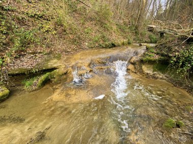 Baharın başlarında Erlenbach deresi ve Erlenbacher-Tobel vadisinde şelaleler ve şelaleler - Zürih veya Zuerich, İsviçre (Schweiz)