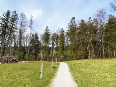 Zürih Gölü (Zürih veya Zuerichsee), Erlenbach - Zürih veya Zuerich Kantonu, İsviçre