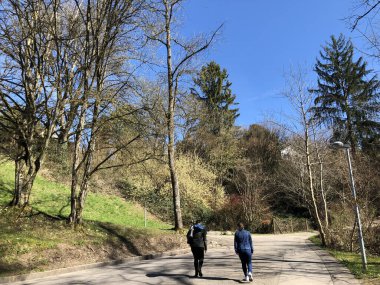 Zürih Gölü (Zürih veya Zuerichsee), Erlenbach - Zürih veya Zuerich Kantonu, İsviçre