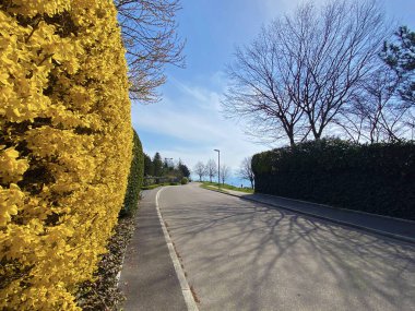 Zürih Gölü (Zürih veya Zuerichsee), Erlenbach - Zürih veya Zuerich Kantonu, İsviçre