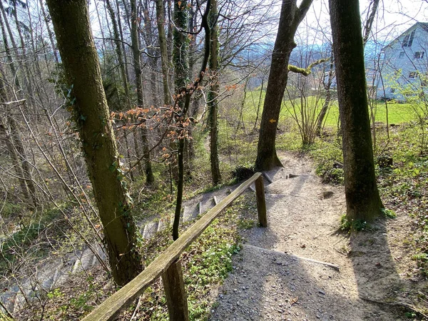 Wander Sport Und Freizeitwege Entlang Des Erlenbachs Und Der Erlenbacher — Stockfoto