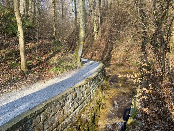 Sentiers Pédestres Sportifs Récréatifs Long Ruisseau Erlenbach Dans Ravin Erlenbacher — Photo