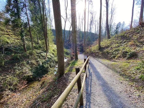 Trilhas Para Caminhadas Esportes Recreação Longo Riacho Erlenbach Ravina Erlenbacher — Fotografia de Stock