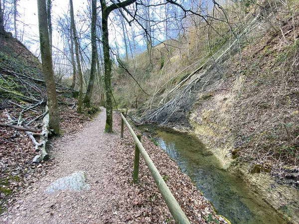 Spår För Promenader Sport Och Rekreation Längs Erlenbach Bäcken Och — Stockfoto