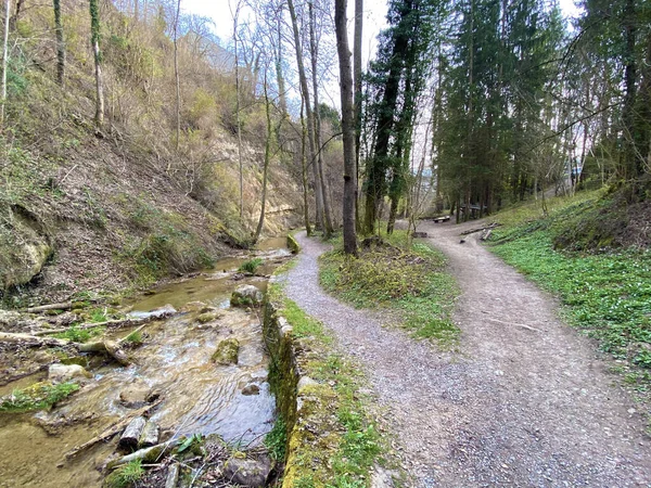 Wander Sport Und Freizeitwege Entlang Des Erlenbachs Und Der Erlenbacher — Stockfoto