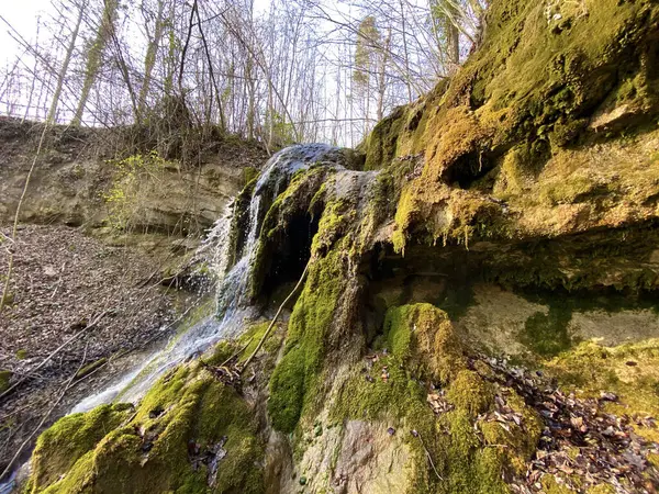 Cascadas Cascadas Arroyo Erlenbach Barranco Erlenbacher Tobel Principios Primavera Zurich — Foto de Stock