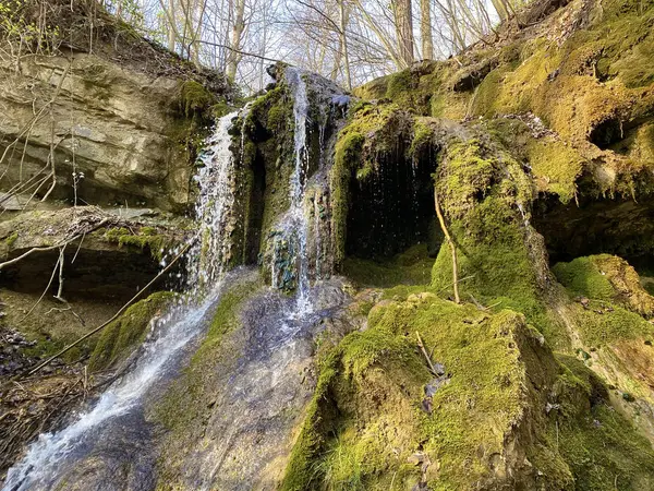 Cascadas Cascadas Arroyo Erlenbach Barranco Erlenbacher Tobel Principios Primavera Zurich —  Fotos de Stock