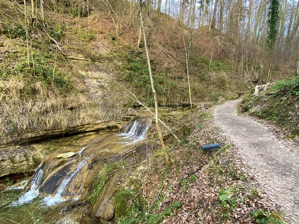 Cascades Cascades Sur Ruisseau Erlenbach Dans Ravin Erlenbacher Tobel Début — Photo