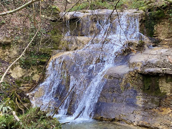 Watervallen Watervallen Erlenbach Kreek Het Erlenbacher Tobel Ravijn Het Vroege — Stockfoto