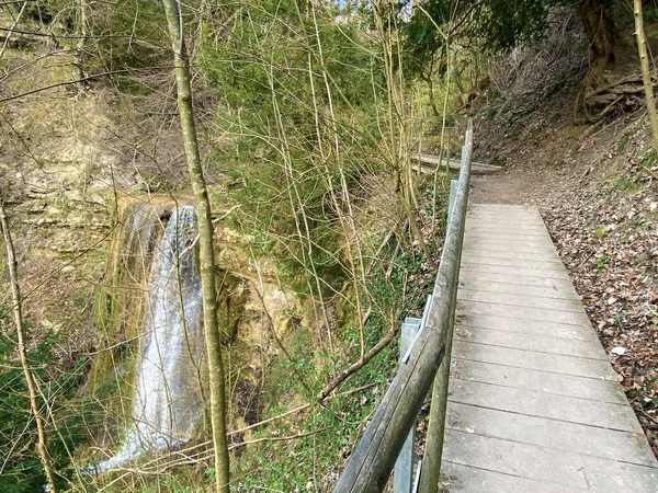 Cascades Cascades Sur Ruisseau Erlenbach Dans Ravin Erlenbacher Tobel Début — Photo