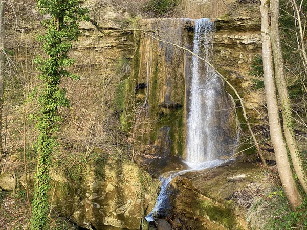 Cascadas Cascadas Arroyo Erlenbach Barranco Erlenbacher Tobel Principios Primavera Zurich — Foto de Stock