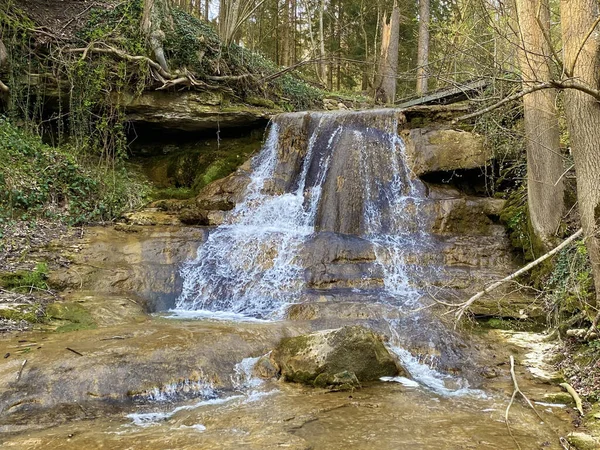 Vodopády Kaskády Potoce Erlenbach Rokli Erlenbacher Tobel Začátku Jara Curych — Stock fotografie