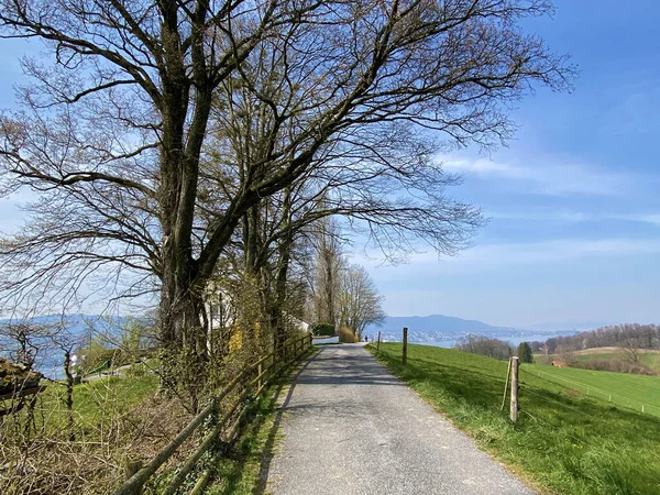 Trails Walking Sports Recreation Pastures Settlements Lake Zurich Zurichsee Zuerichsee — Stock Photo, Image