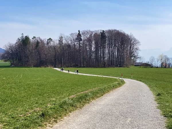 Trails Walking Sports Recreation Pastures Settlements Lake Zurich Zurichsee Zuerichsee — Stock Photo, Image