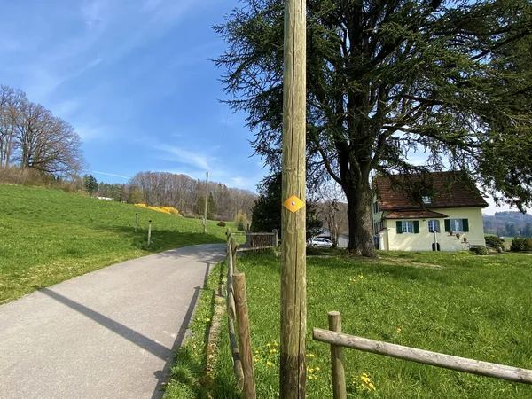 Trails Walking Sports Recreation Pastures Settlements Lake Zurich Zurichsee Zuerichsee — Stock Photo, Image