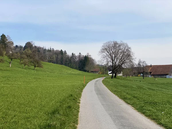 Wander Sport Und Erholungswege Durch Die Almen Und Siedlungen Oberhalb — Stockfoto