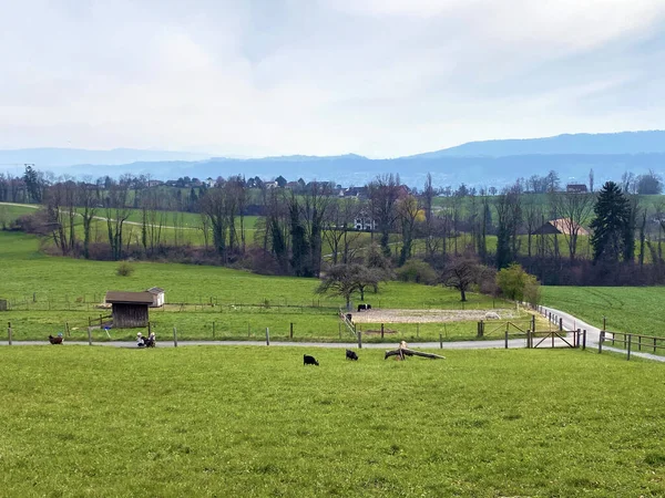 Fazendas Rurais Arquitetura Tradicional Aldeias Sobre Lago Zurique Erlenbach Cantão — Fotografia de Stock
