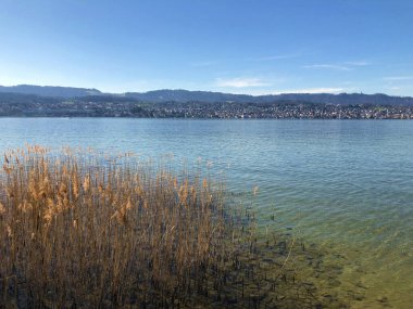İsviçre 'nin Zürih kentindeki Zürih Gölü veya Der Zuerichsee veya Zürih (Schweiz)