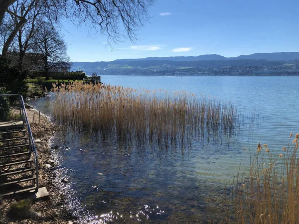 Danau Zurich Atau Der Zuerichsee Atau Zurichsee Kota Zurich Swiss — Stok Foto