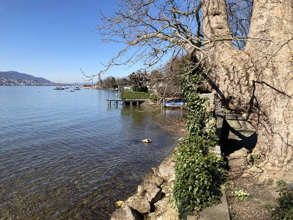 Lago Zurich Der Zuerichsee Zurichsee Ciudad Zurich Suiza Schweiz — Foto de Stock