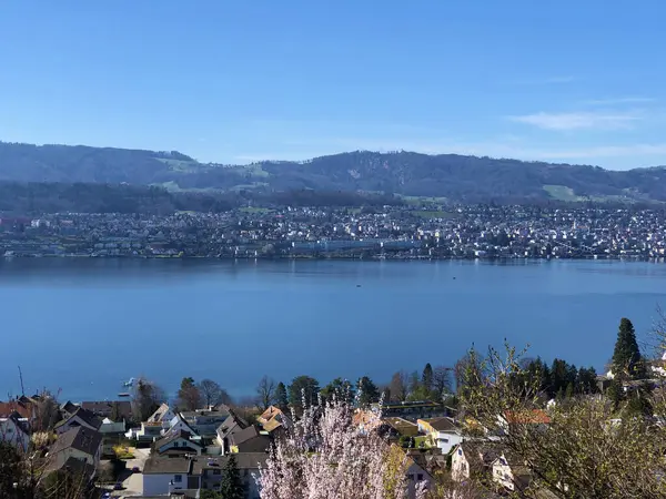 チューリッヒ湖またはチューリッヒ湖またはチューリッヒ湖の眺めとパノラマの遊歩道の東側からの谷 チューリッヒのカントンまたはスイスのチューリッヒ スイス — ストック写真