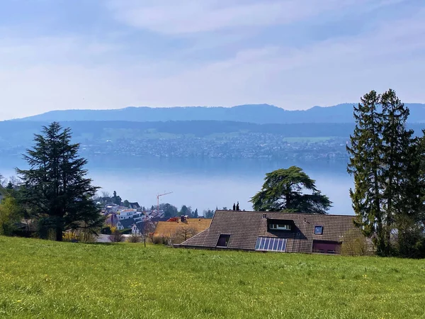 View Lake Zurich Der Zuerichsee Zurichsee Valley East Side Panoramic — Stock Photo, Image