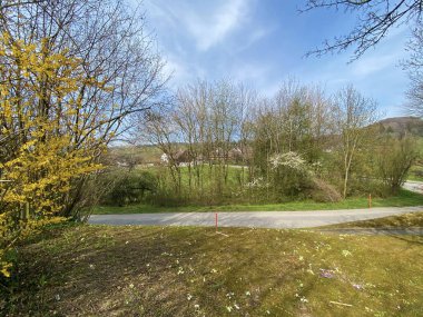 Zürih Gölü üzerindeki kenar mahallelerde, Zürih Kantonu veya İsviçre 'nin Zuerich Kantonu üzerindeki süs bahçeleri (Schweiz)