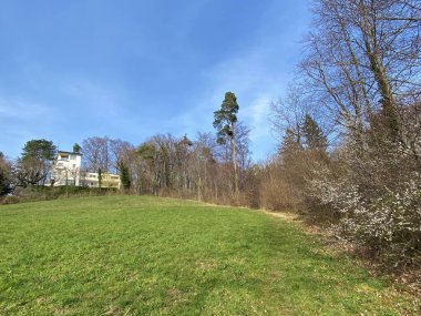 Zürih Gölü üzerindeki tepeler ve otlaklar üzerindeki tipik doğal manzara - Zürih Kantonu veya İsviçre (Schweiz)