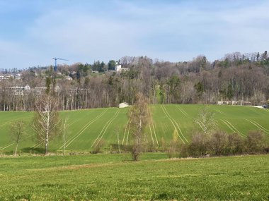 Zürih Gölü üzerindeki tepeler ve otlaklar üzerindeki tipik doğal manzara - Zürih Kantonu veya İsviçre (Schweiz)