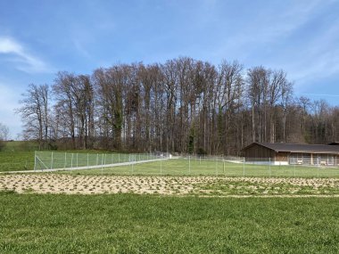 Zürih Gölü üzerindeki tepeler ve otlaklar üzerindeki tipik doğal manzara - Zürih Kantonu veya İsviçre (Schweiz)