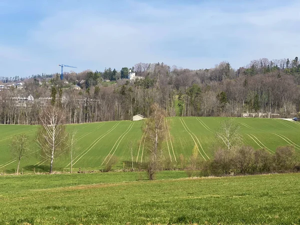 Typical Natural Landscape Early Spring Hills Pastures Zurich Lake Canton — Stock Photo, Image