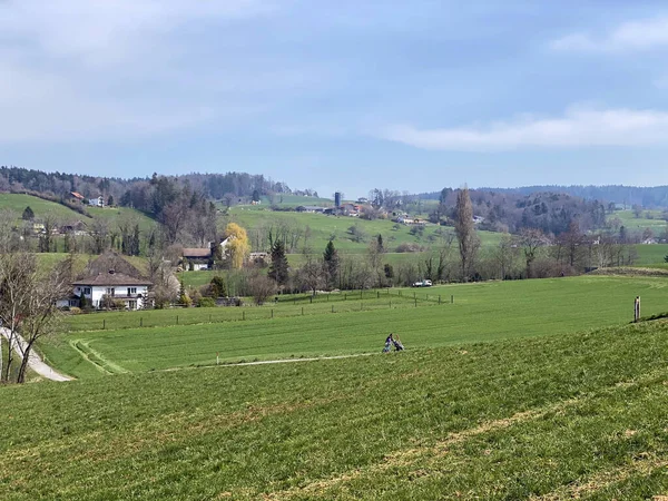 Typical Natural Landscape Early Spring Hills Pastures Zurich Lake Canton — Stock Photo, Image