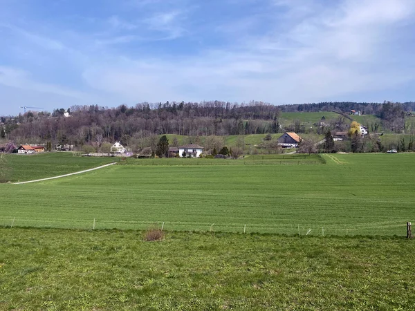 Typical Natural Landscape Early Spring Hills Pastures Zurich Lake Canton — Stock Photo, Image