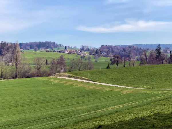 Typische Naturlandschaft Zeitigen Frühling Auf Hügeln Und Weiden Oberhalb Des — Stockfoto