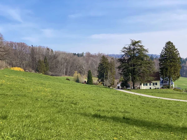 Paisagem Natural Típica Durante Início Primavera Colinas Pastagens Acima Lago — Fotografia de Stock