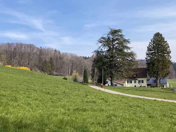 Typische Naturlandschaft Zeitigen Frühling Auf Hügeln Und Weiden Oberhalb Des — Stockfoto