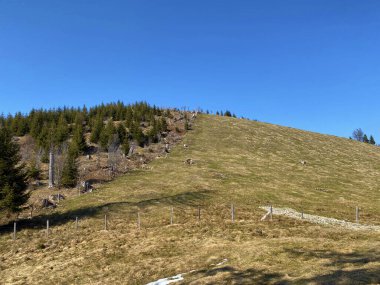 Alptal Vadisi 'nin Alp çayırları ve otlakları ve bahar başlarında çevreleyen tepeler üzerinde, Einsiedeln - Schwyz Kantonu, İsviçre (Schweiz)